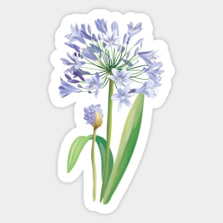 Lily of the Nile Sticker